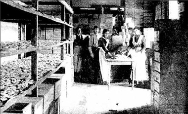 Photograph - Image - Black and White, Macaroni Factory, Hepburn Springs, 1900, 1900