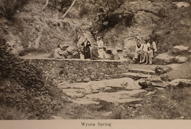 A number of people congregate around a mineral water spring