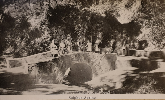 A number of people stand around a mineral water spring.