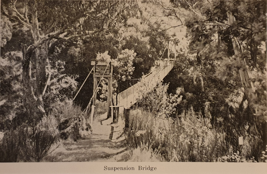 A suspension bridge over Doctor's Gully, Hepburn Springs