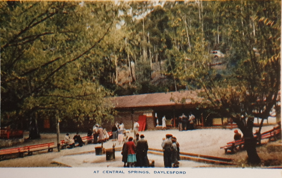 A number of people around Central Springs, Daylesford