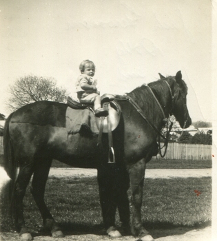 A child on a horse