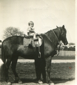 A child on a horse