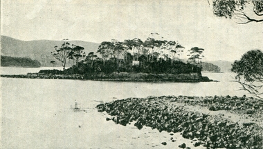 Photograph, Dead Island, Port Arthur, Tasmania