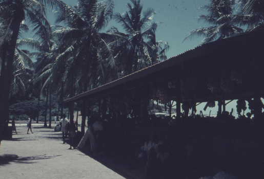 Koki markets showing palm trees in background and Papuans selling produce.