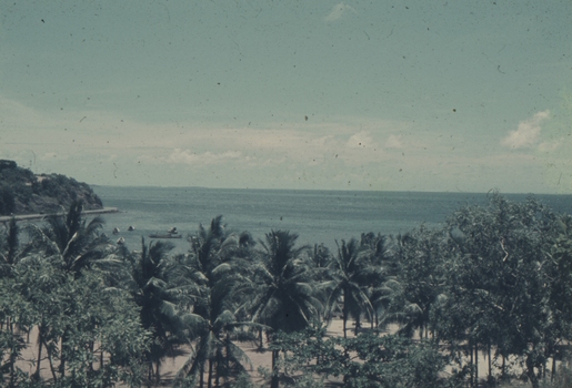 Palm trees and the harbour at Koki, Port Moresby, PNG