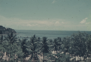 Palm trees and the harbour at Koki, Port Moresby, PNG