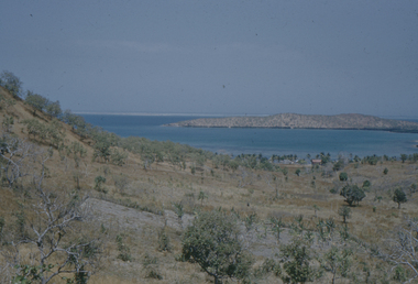 Idlers Bay photo shows vegetation in this location and successful attempts at cultivation.