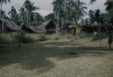 Huts are possibly at Sogeri, PNG