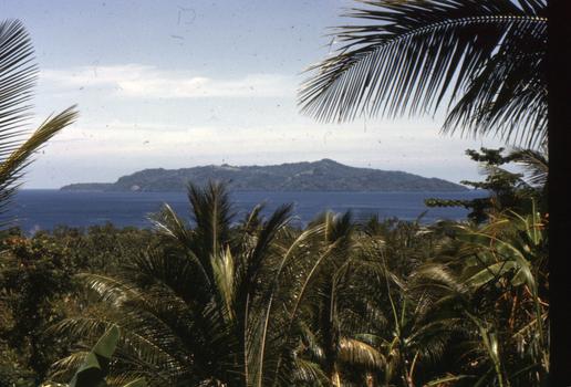 Jungle, sea and land scene in New Guinea.
