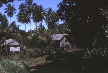 Huts with thatch roofs in New Guinea