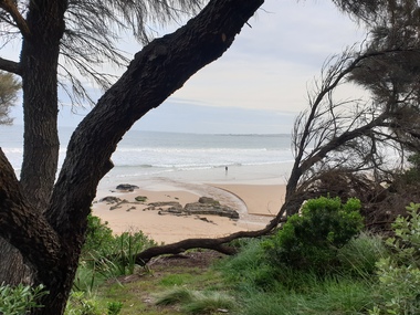 A creek flows into a beach