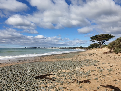 Coastal scene
