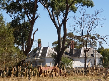 Photograph, Clare Gervasoni, Brookside Homestead, 21/01/2021