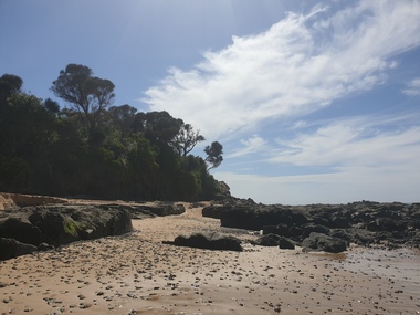 Coastal Scene
