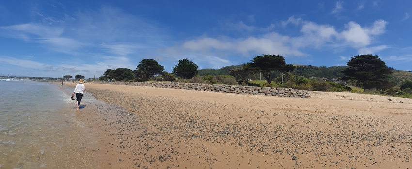 coastal scene