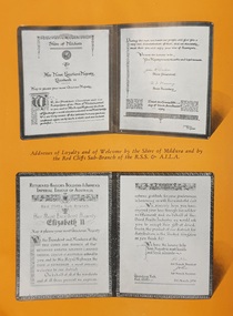 Photograph