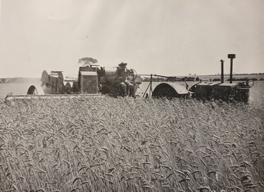 Photograph, Tractor