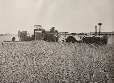 Photograph, Thresher