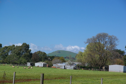 landscape
