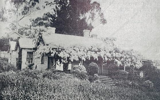 A weatherboard home