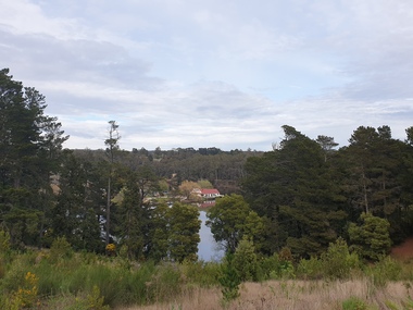 Photograph - Coloured Photograph, Clare Gervasoni, Lake Daylesford, 1920, 18/09/2020