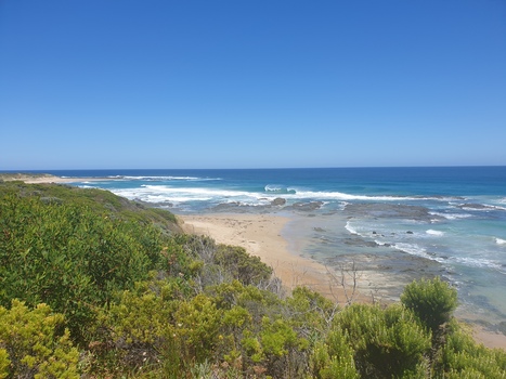 Coastal Scene