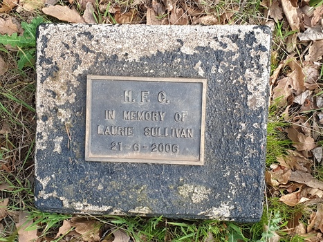 Plaque