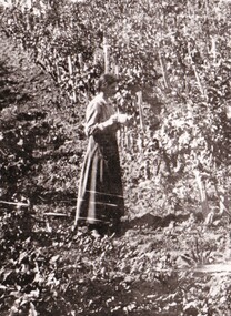 A woman in a vineyard