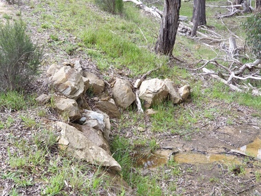 Photograph, Spring on the way to La Franchi's Hut, 2020, 18/10/2020