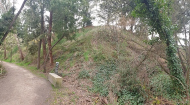 Photograph, Mullock Heap from the Defiance Company, Daylesford, 2020