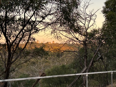 Photograph, View from the Former Willsmere Hospital, Kew, 2025, 2025