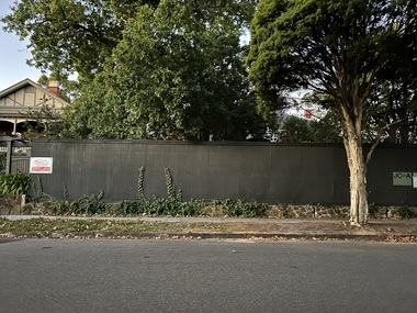 Photograph, Kew Boulevard, 2025