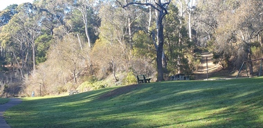 Photograph - Photograph - Colour, Hepburn Springs Reserve looking towards the Pavilion, 2025, 12/12/2020