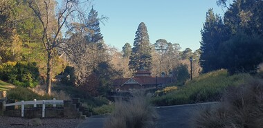 Photograph, Hepburn Springs Reserve, Looking towards the Pavilion, 2025, 01/08/2025