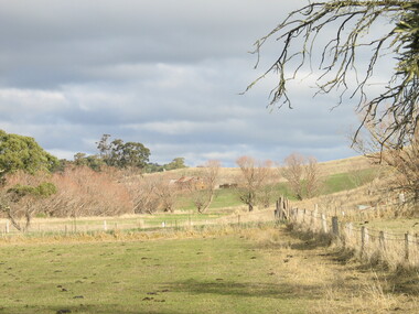 Photograph - Digital photographs, L.J. Gervasoni, Gervasoni Homestead, Yandoit Creek, 2013, 26/06/2004