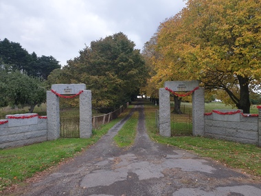 Photograph, Dean Avenue of Honour, 2021