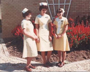 Photograph - NDSN PTS 97 1981