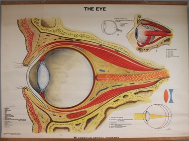 Poster - The Eye