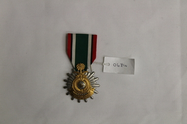 Gulf War Medal