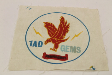 Air Force Patch, Unknown