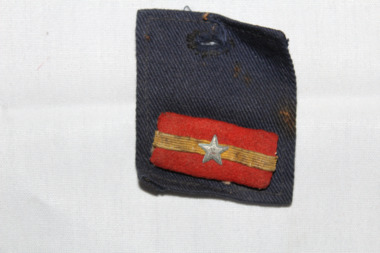 Memorabilia - IJA Collar Badge, Circa 1940's