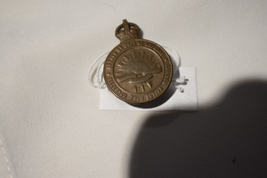 Award of merit medal