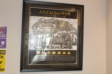 Print - ANZACS At War