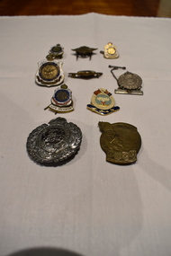 Badge - 10 assorted badges