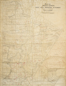 Plan - Plan, Allotments, Plan of Homestead  Allotments White Cliffs Irrigation Settlement Parish of Merbein  County of Karkarooc
