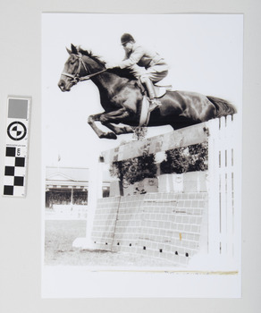 This image depicts Milton and horse jumping over wall and plank in equestrian event with grandstand and crowd behind