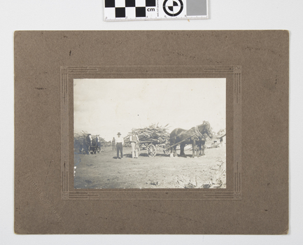 Two horse drawn carts laden with wood. Three men on the block getting cleared.