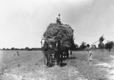 This image depicts man throwing hay by pitchfork onto horse drawn hay cart with man on top of hay spreading the load