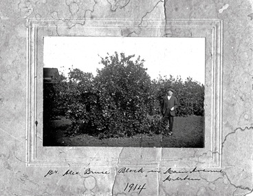 Photograph, Bruce (Alex) Block Main Ave. Merbein, 1914